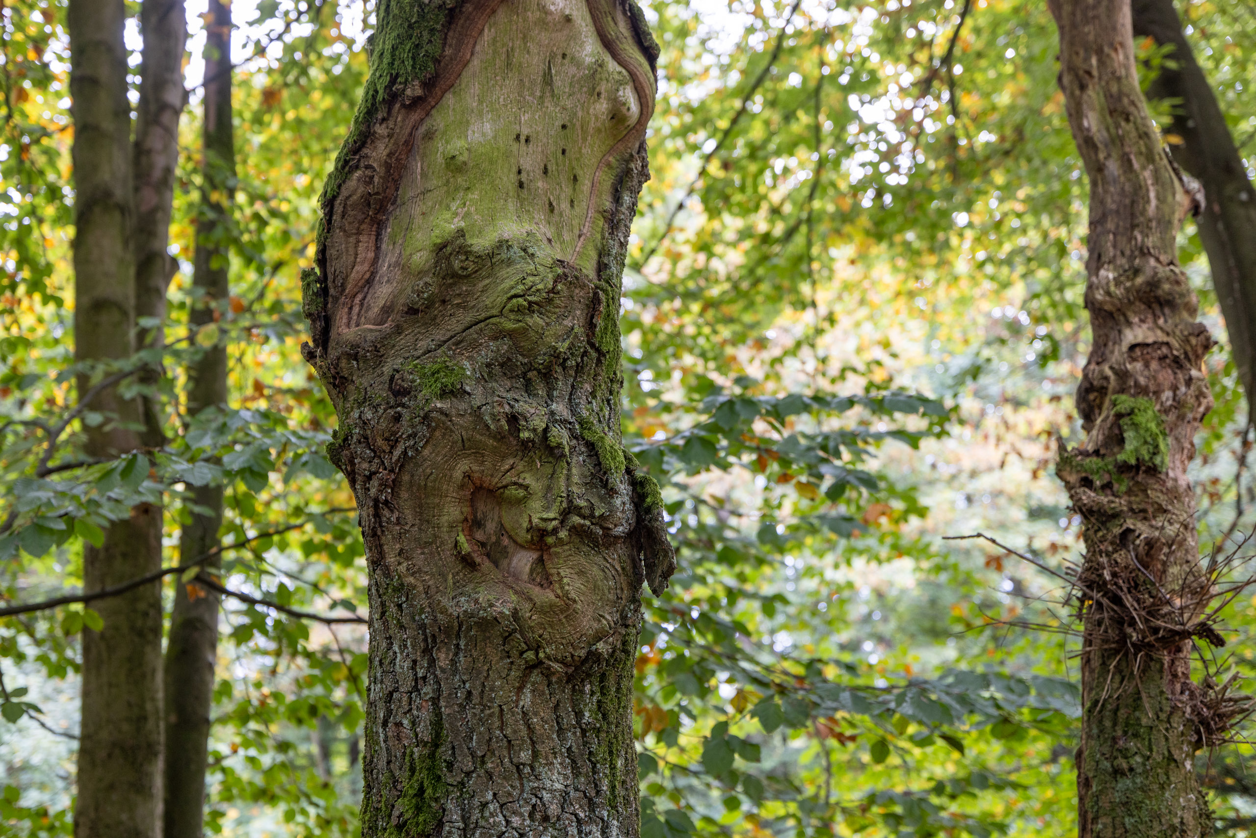 20231015112440 R5D 4395